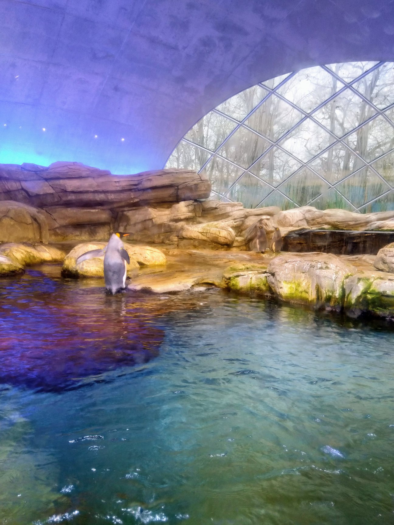 Sint-Martinus den XIIde - Winterkamp VK Berlijn